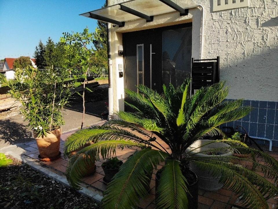 Sonnige 3 Zimmer Wohnung Mit Schoenem Balkon Im Gruenen 로이틀링겐 외부 사진